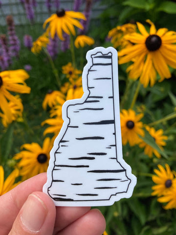 Birch NH Sticker - New Hampshire and Alumna Made